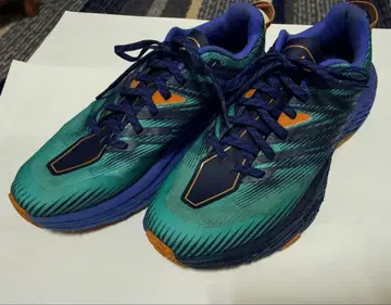 HOKA ONE ONE 호카오네오네 스피드 고트 4, 27.5cm