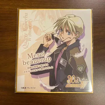 건담 W 색지 카토르