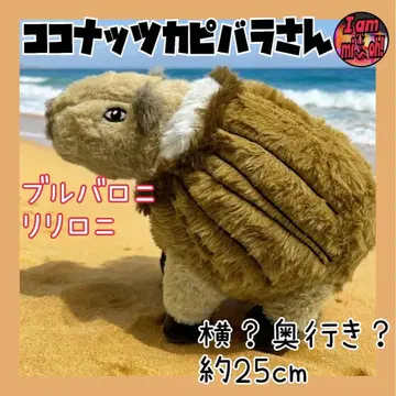 이탈리안 레인 로트 코코넛 카피바라 씨 봉제 인형 약 25cm