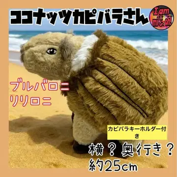 이탈리안 레인 로트 코코넛 카피바라 씨 봉제 인형 약 25cm