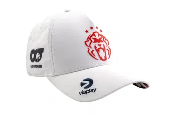 레드불 페르스타펜 라이온캡 2025 일본 GP 사양