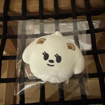 TXT 범퍼 메이저