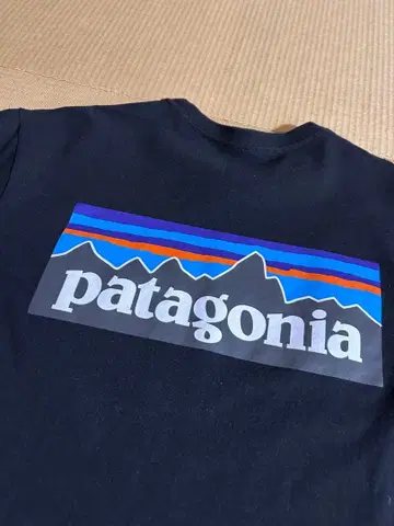 patagonia 파타고니아 T셔츠