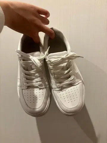 화이트 통굽 스니커즈 레이스업