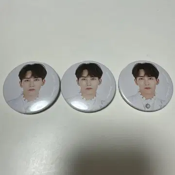 SEVENTEEN 세부치 정한 캔뱃지