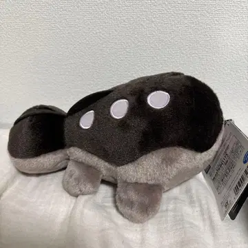 포켓몬 겟 봉제 인형 도오