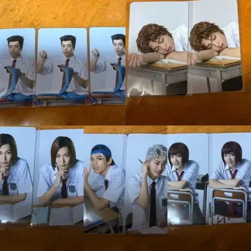 테니뮤 전빙 트레이딩 카드 묶음 판매