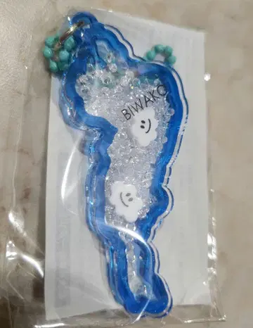 비와호 밸리 키링