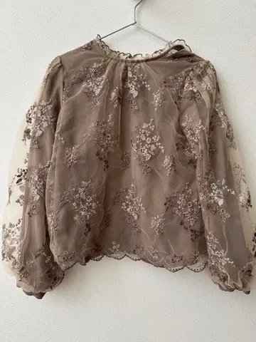 자수 장식 시스루 블라우스