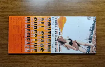 서던 올스타즈 1998 슈퍼 라이브 in 나기사엔 DVD 2장 세트