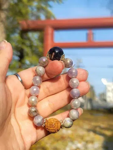 개인물품 체내 순회로부터의 재생 구옥 오르가나이트