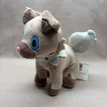 포켓몬 ALL STAR COLLECTION 이완코 봉제 인형 S