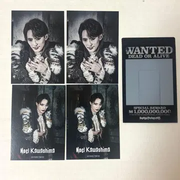 마우피 페스티벌 포토 카드 카와시마 노엘 트레이딩 카드