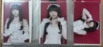 노기자카46 이케다 에레나 보도교 미니 브로마이드 3종 컴프