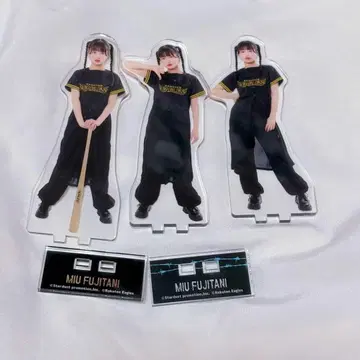 이기가리 도호쿠산 후지타니 미우미 라쿠텐 콜라보 아크릴 스탠드 3종류