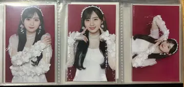 노기자카46 카와사키 사쿠라 보도교 미니 브로마이드 3종 컴프