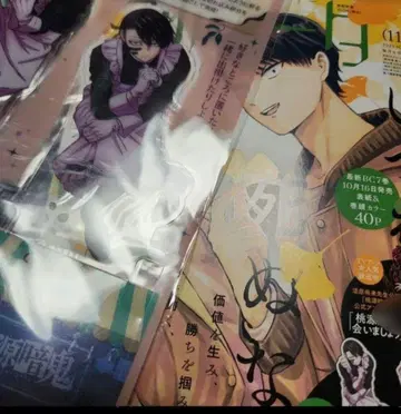 미스터리 보니타 2025년 11월호 새상품, 부록 포함 도원암귀