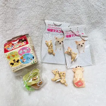 치와와 쿠쨩 흡착 마스코트 후루푸루 츄와즈 스트랩