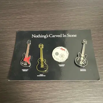 Nothing's Carved In Stone 핀 배지 세트