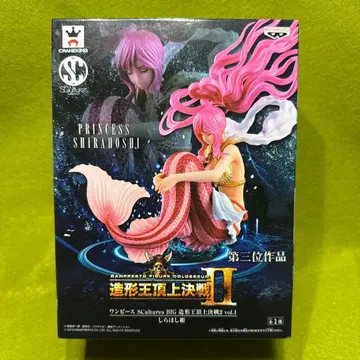 조형왕 정상결전 II 시라호시 공주