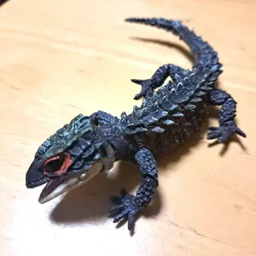 생물대도감 어드밴스 아카메가부토 도마뱀 다크 브라운