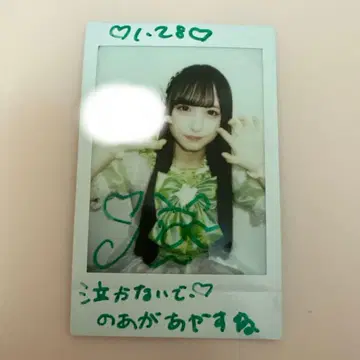 와카바노아 댓글 있음 폴라로이드