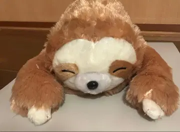 흐물흐물 나무늘보 토로린쵸 봉제 인형 약 48cm