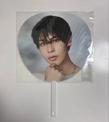 라울 점보 부채 RAYS