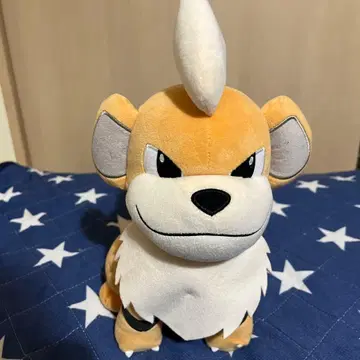 가디 봉제 인형