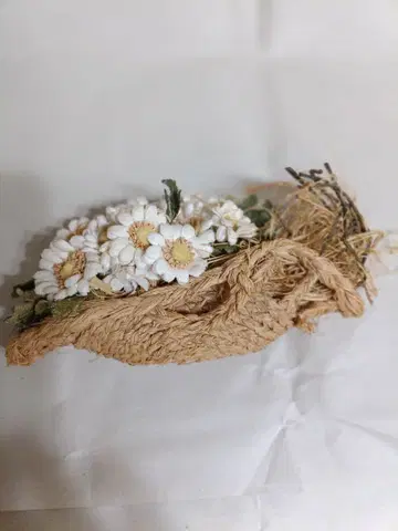 원더풀 월드의 코사지