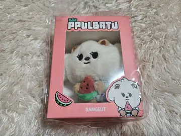 txt 뿔바투 밤굿