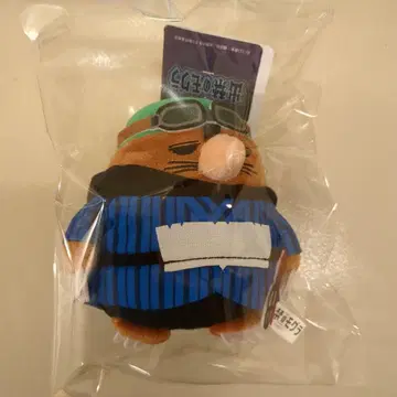 출금된 두더지  동물 인형 [ 백암복숭아궁목 ]