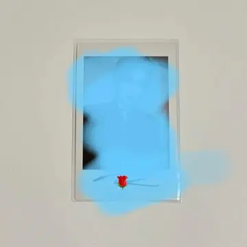 zb1 제베원 리키 친필 사인 폴라로이드