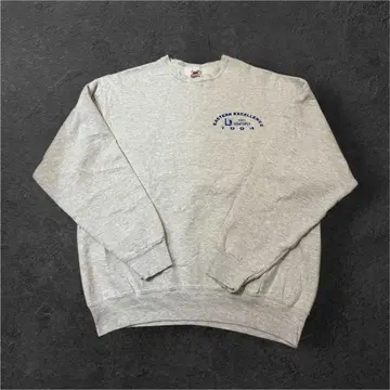 FRUIT OF THE ROOM 90s 맨투맨 USA제