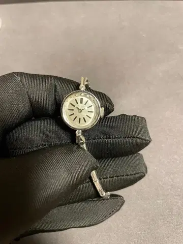 [ 컨디션 최상 초레어 단종품 ] 시티즌 하이모드 21 MT 여성용