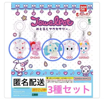 주얼펫 메지루시 액세서리 3종 세트