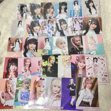 이코럽 사이토 쥬라 브로마이드 장미 31장 세트