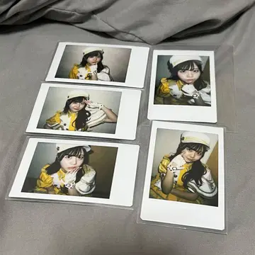 iLife! 후쿠마루 우사 란 폴라로이드 세트