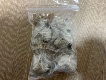 굼벵이 2 퍼그 5개 세트