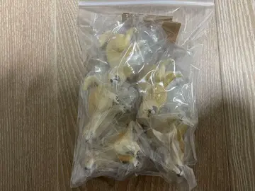 굼벵이 2 골든 리트리버 5개 세트