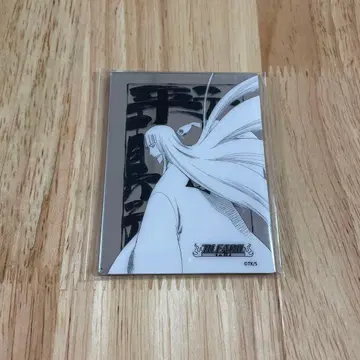 BLEACH 메탈릭 마그넷 컬렉션 히라코 신지