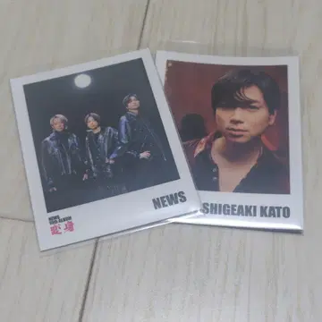 폴라로이드풍 카드 카토 시게아키 변신