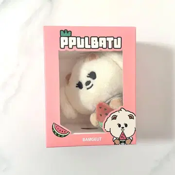 공식 TXT 뿔바투 플러시 키링 범규 밤굿