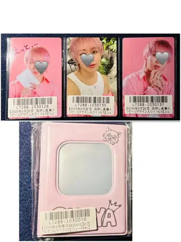 초특급 슈야 키라리 스크래치 2025 8호차의 날