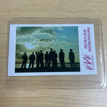 초특급 EVE 미니 사진 집합