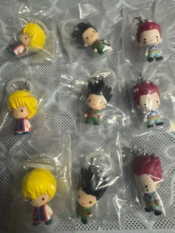 HUNTER x HUNTER 메지루시 참