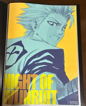 BLEACH 히즈카야 토시로 포스터 원화전