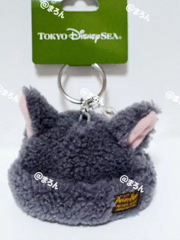 판타지 스프링스 잃어버린 아이들 너구리 키체인 디즈니