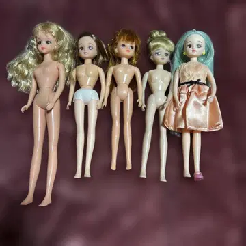 리카짱 인형 본체 5체 세트