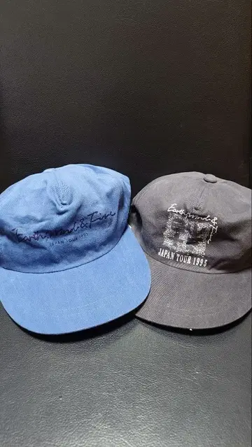 Earth, Wind & Fire JapanTour 1995 캡